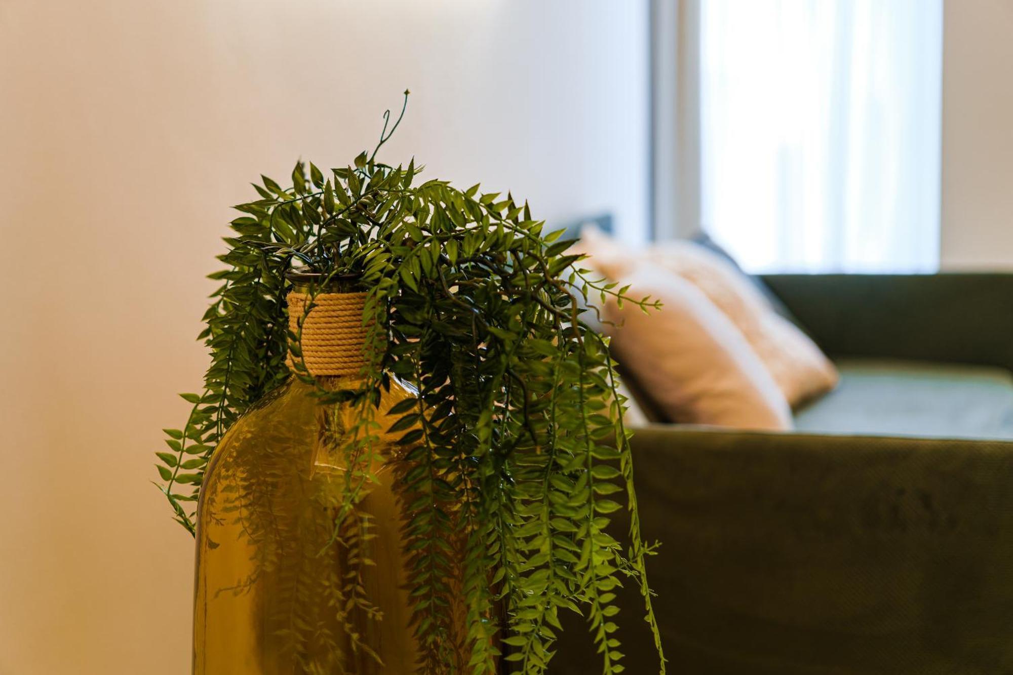 Helloapulia Charming Palazzo Clemente - Self-Catering Suites With Aircondition Монополи Екстериор снимка